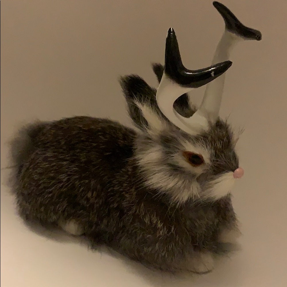 Small Taxidermy jackalope